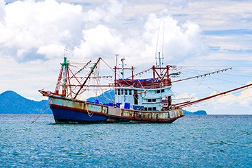 Sea-Watch